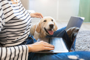 Dog and woman shopping online