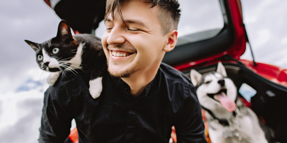 Male surfer with cat and dog in car