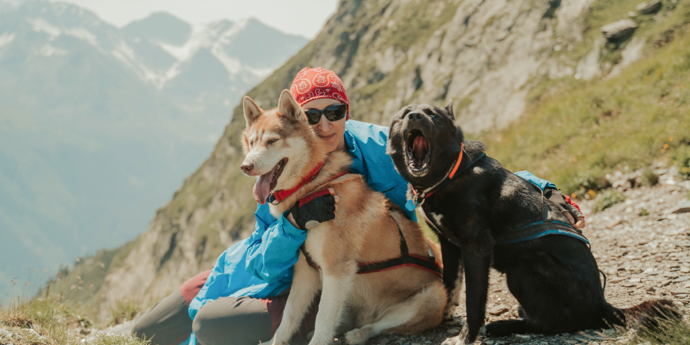 Woman on mountain with two dogs