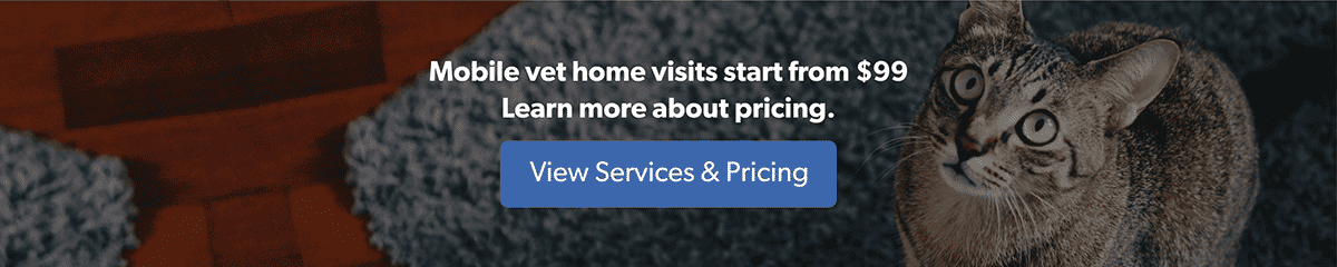 View Services & Pricing
