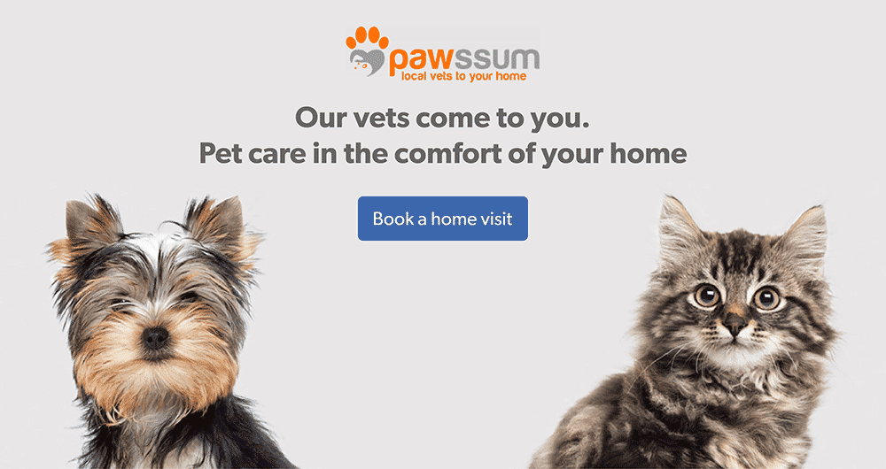 Pawssum | Book a home visit now