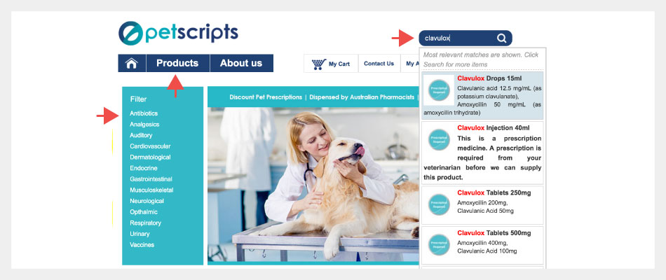 Website home page