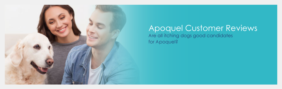 Apoquel Customer Reviews